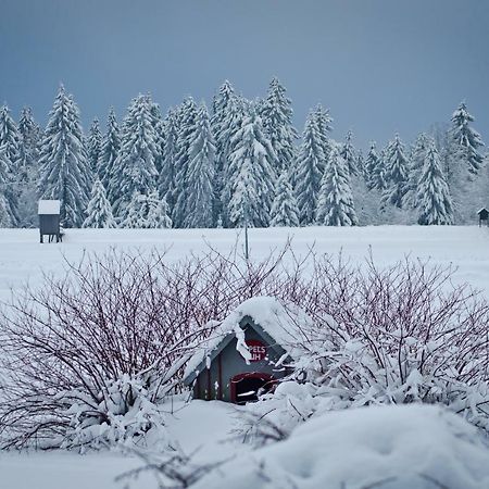 Вилла Ferienblockhaus Auerhahn & Luchs Гослар Экстерьер фото